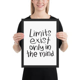 Limits framed matte paper poster